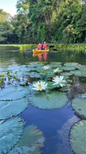Kayak en el río Chagres